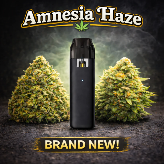 HIBROS AMNESIA HAZE 1ml